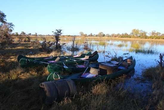 Embarking on the Seli