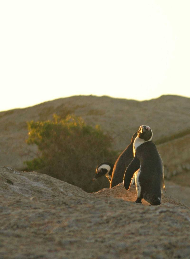 Posing for the camera