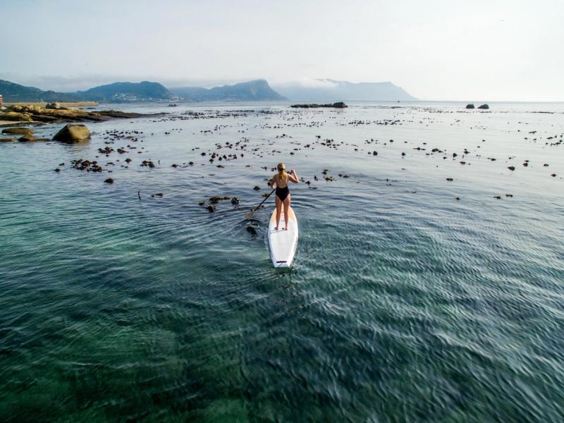 Stand Up Paddle Boarding on Cape Town ocean