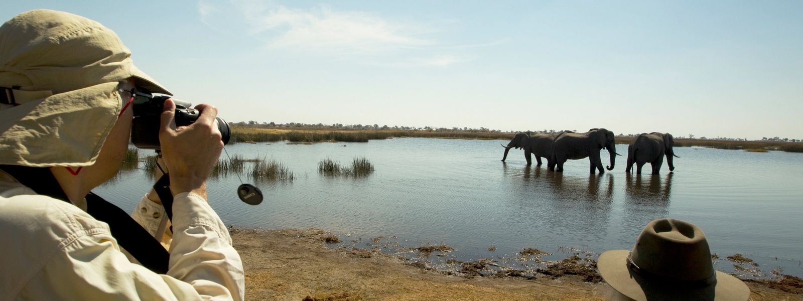 Wildlife Photography Safari in Botswana: Capture the Wild