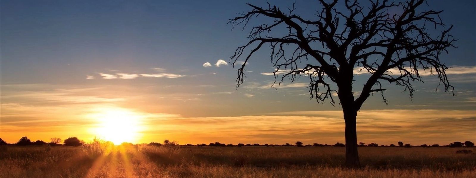 5 razones para visitar el desierto del Kalahari