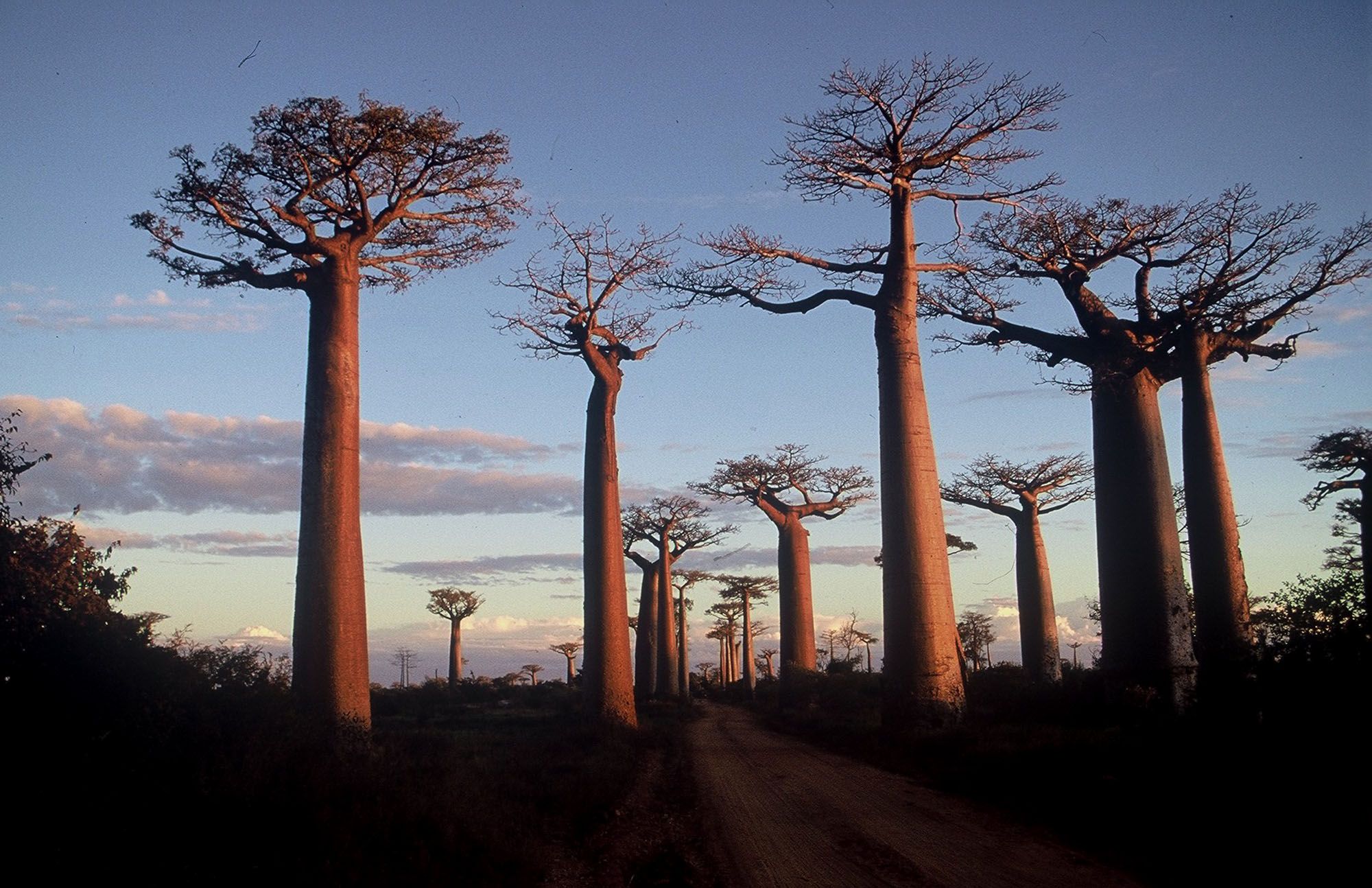 5 raisons de séjourner à Madagascar