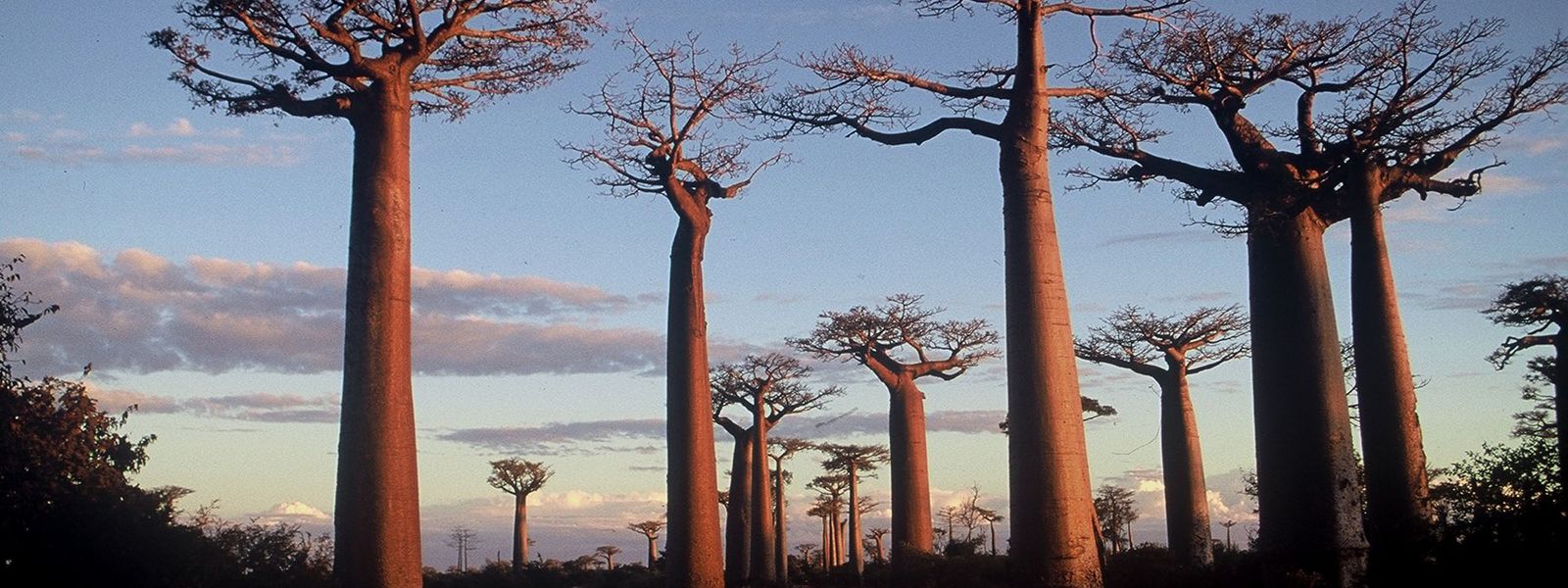 5 raisons de séjourner à Madagascar