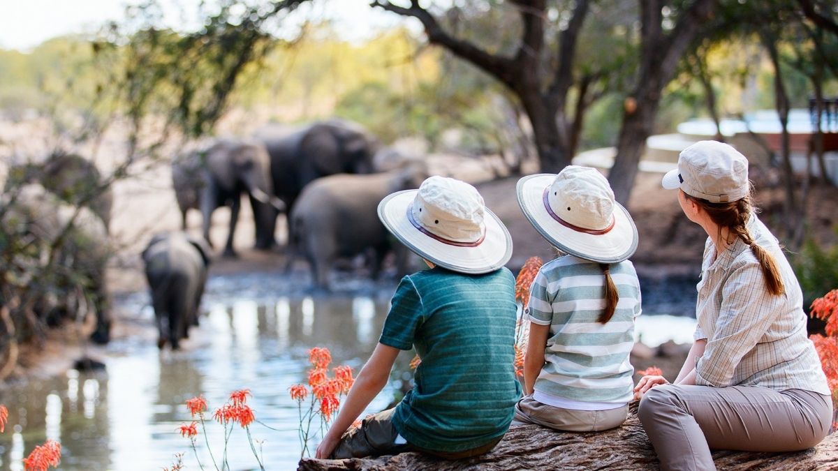 Un safari en famille au coeur de l’Afrique : à quoi s’attendre