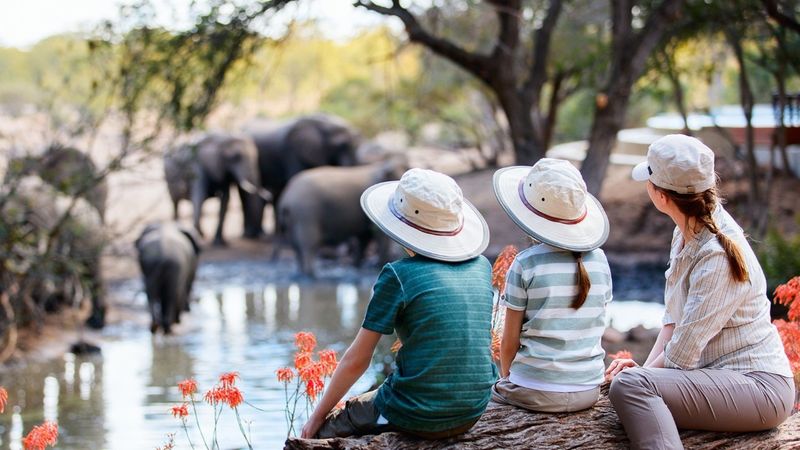 Mejor que cualquier versión de cuento de hadas - Parque Nacional Amboseli