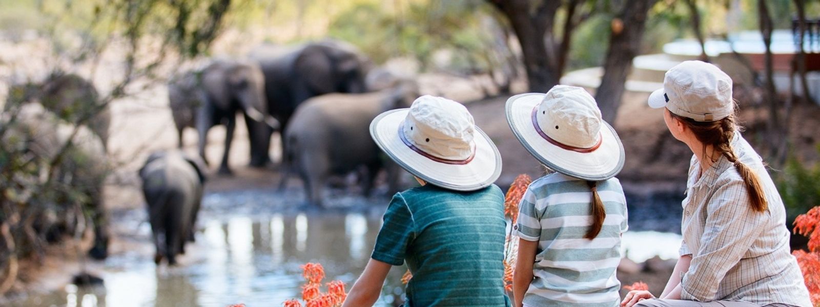 Un safari en famille au coeur de l’Afrique : à quoi s’attendre