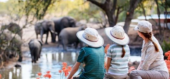 Un safari en famille au coeur de l’Afrique : à quoi s’attendre