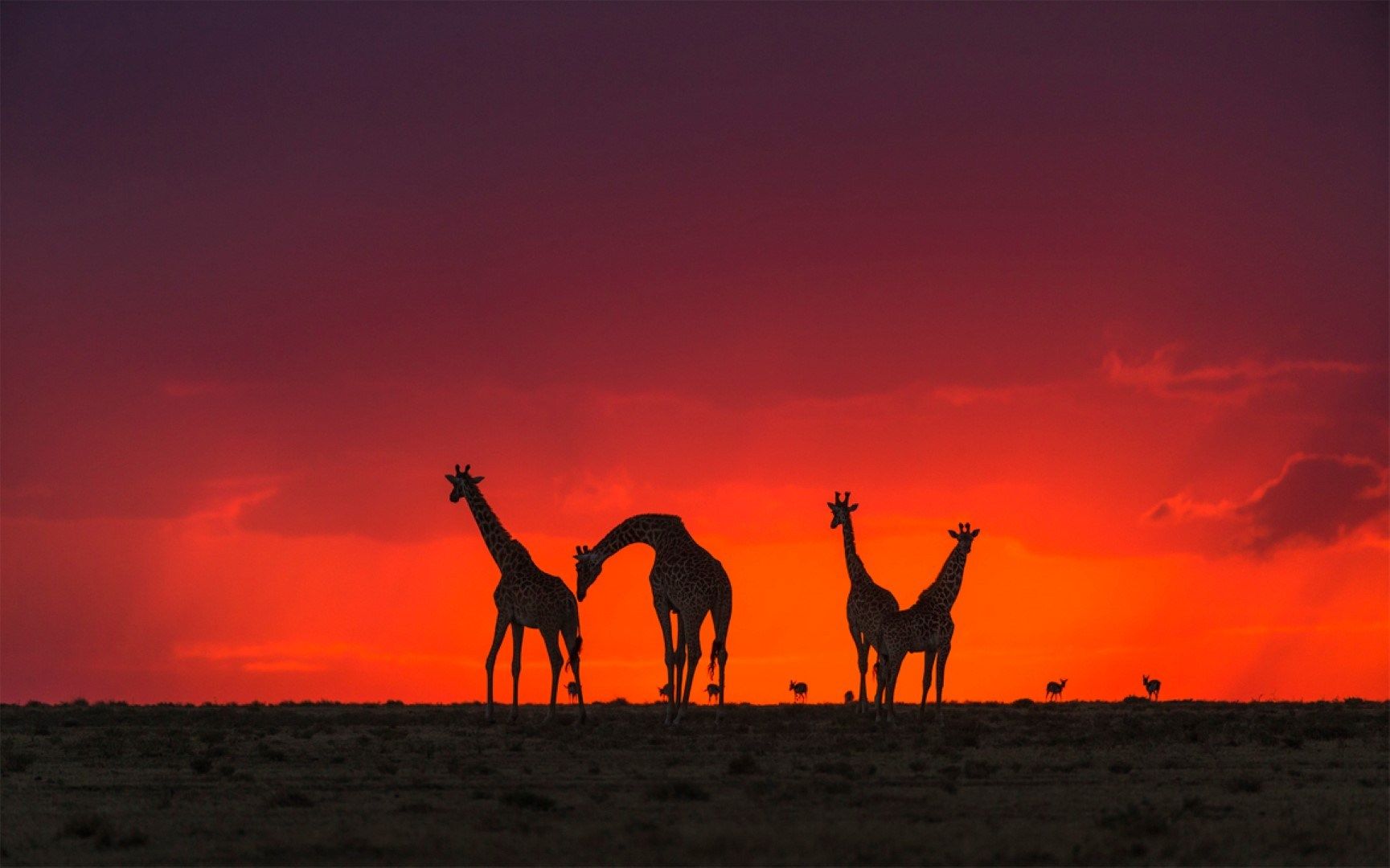 Kennen Sie die Sieben Naturwunder Afrikas?