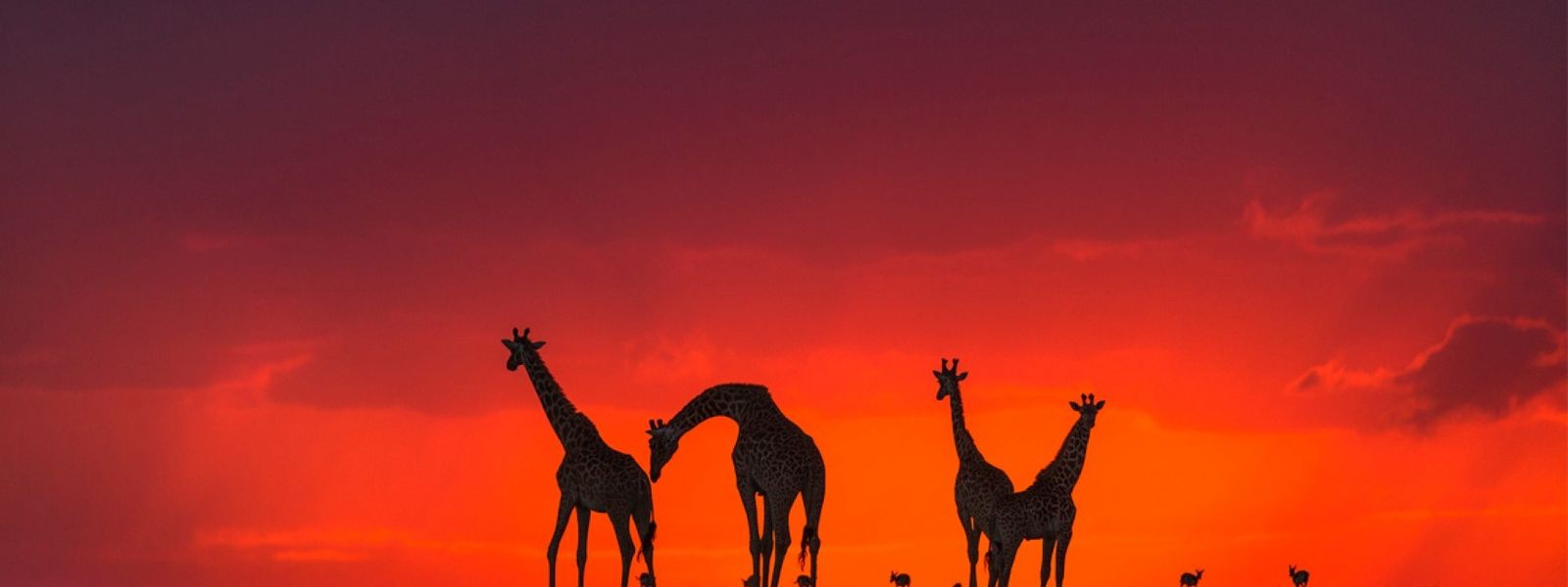 Kennen Sie die Sieben Naturwunder Afrikas?