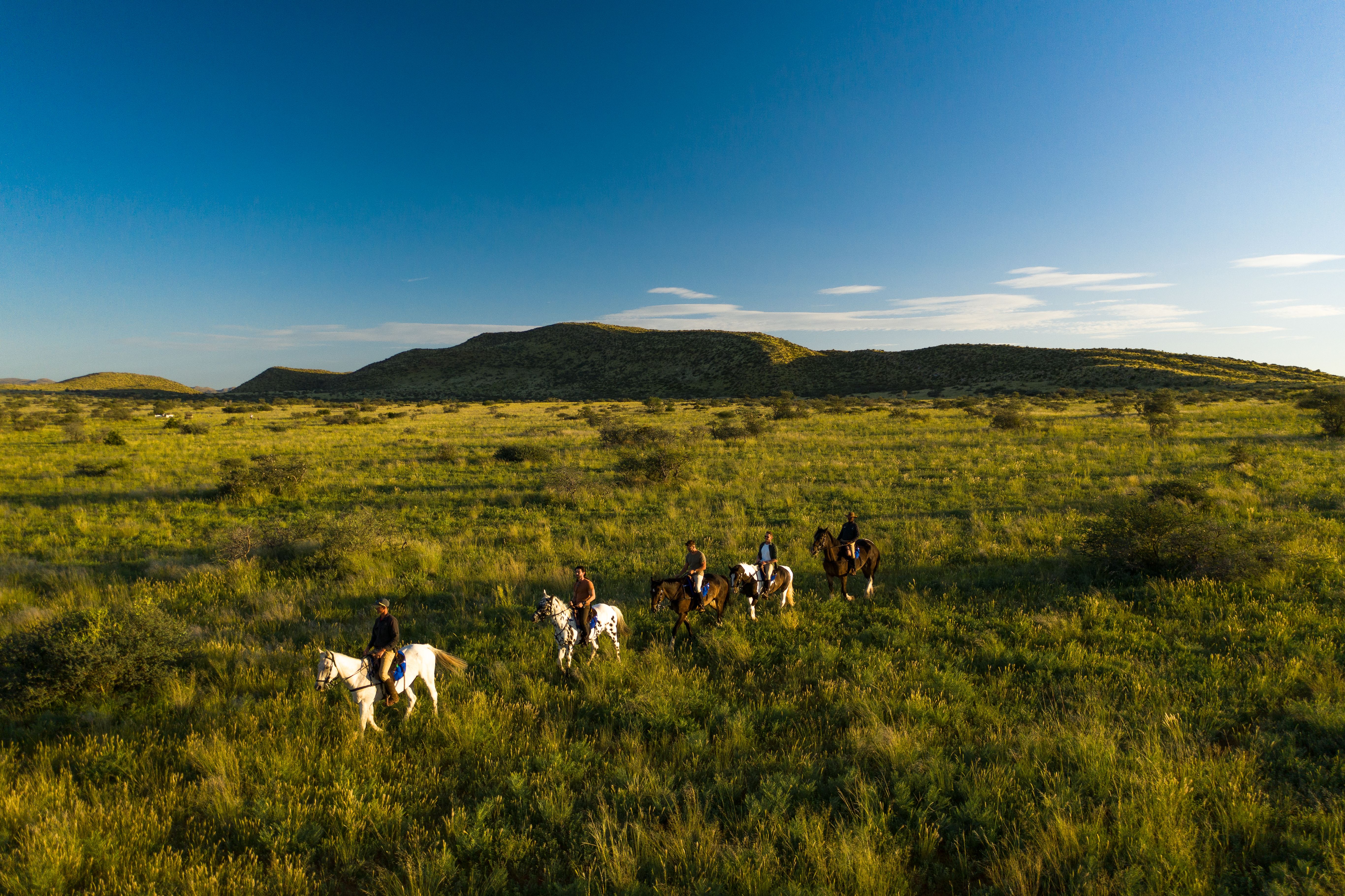 Giddy-Up! My Horseback Riding Safari at Tswalu