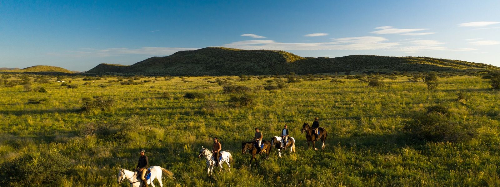 Giddy-Up! My Horseback Riding Safari at Tswalu