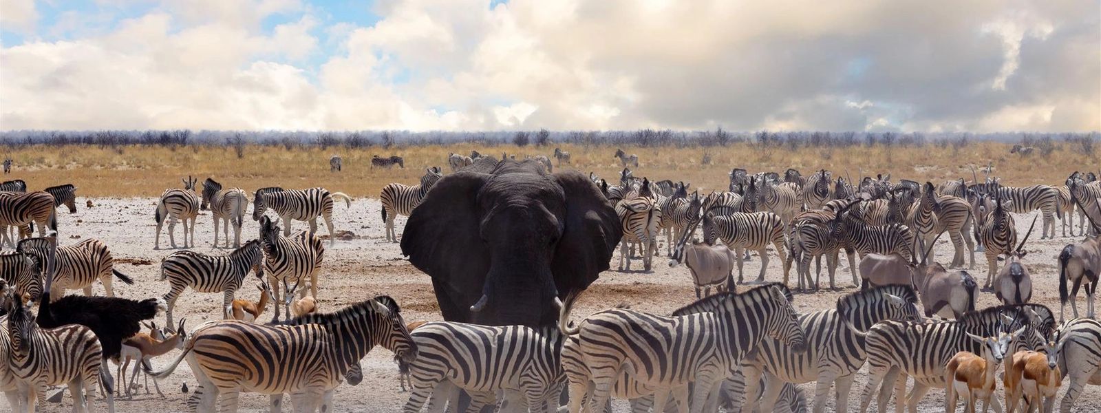 Os principais destinos da África Oriental