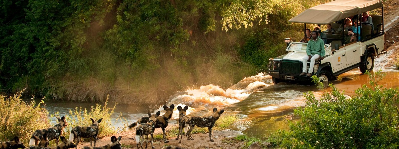 20 Years of Epic Family Safaris in Africa