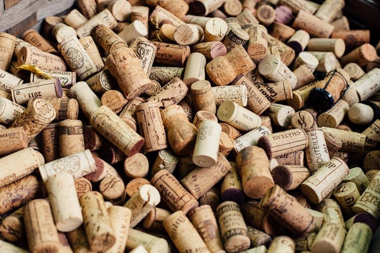 Weinprobe im Kap-Weinland - werden Sie mit uns zum Profi