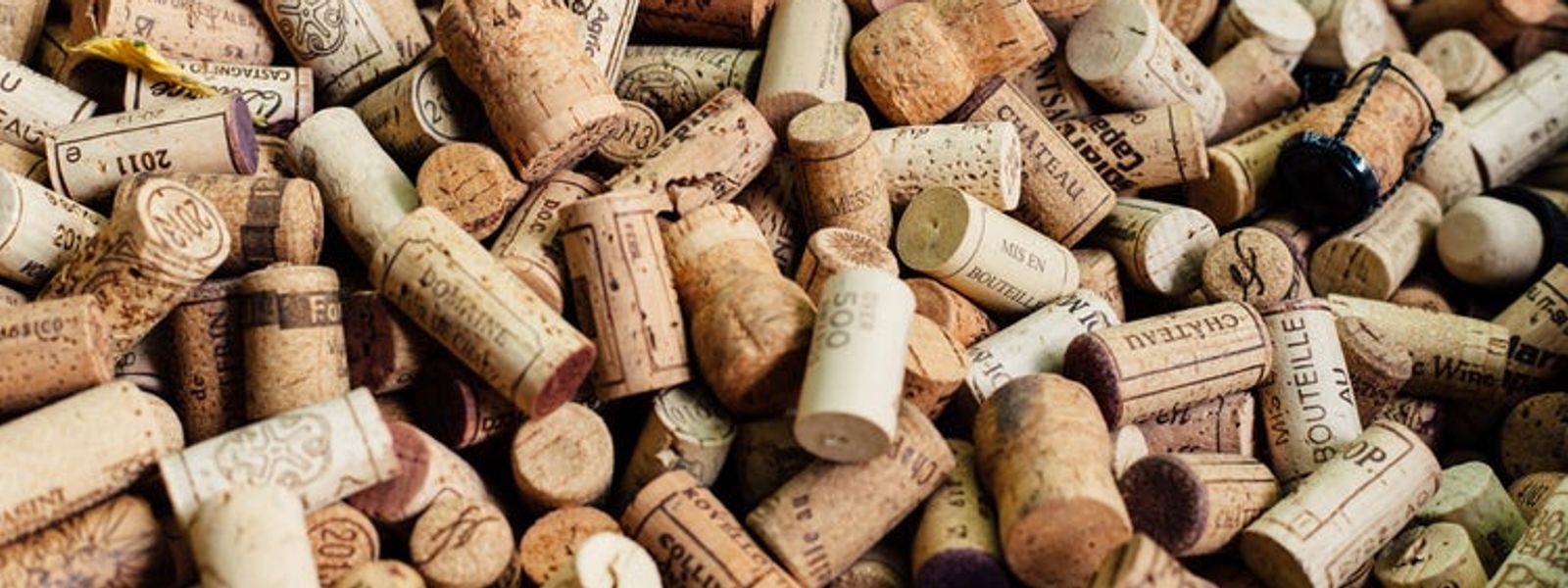 Weinprobe im Kap-Weinland - werden Sie mit uns zum Profi