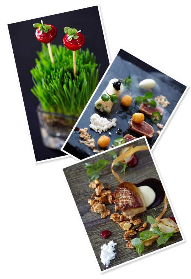A selection of dishes from Cellars Hohenort