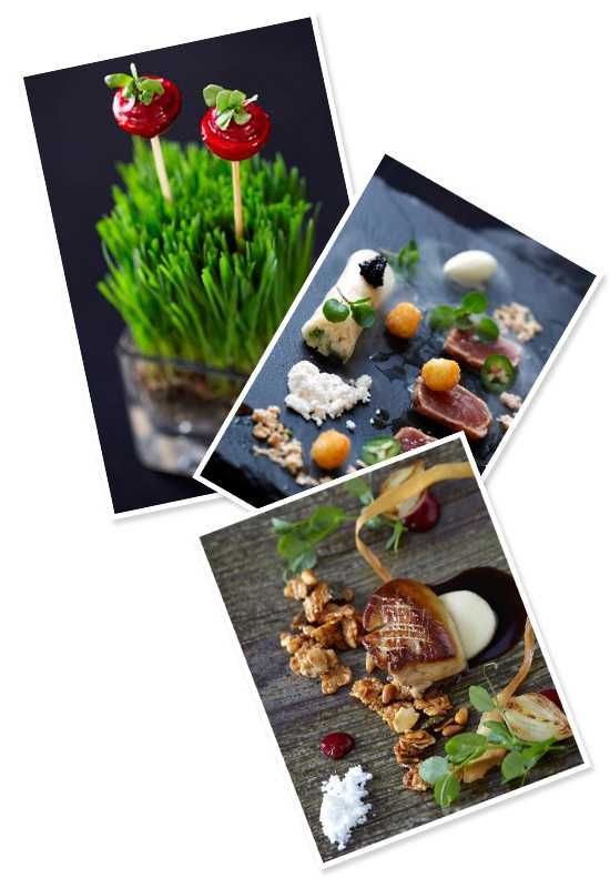A selection of dishes from Cellars Hohenort