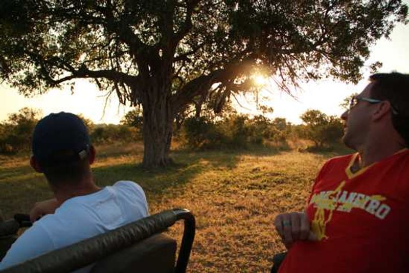 Evening game drive