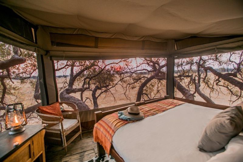 Ausblick vom Baumhaus Dove's Nest der Safari-Lodge The Hide im Hwange Nationalpark