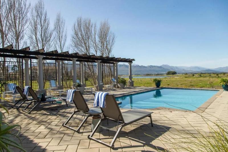 Loungers next to the pool at Sante Wellness Retreat, situated in the Cape Winelands
