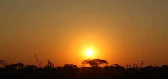 Johannesburg, Victoria Falls, Chobe - Part I