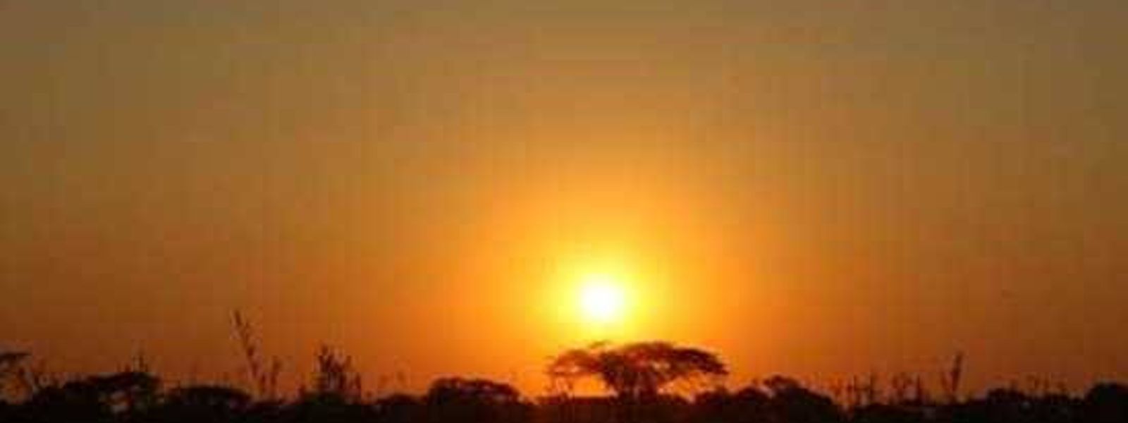 Johannesburg, Victoria Falls, Chobe - Part I