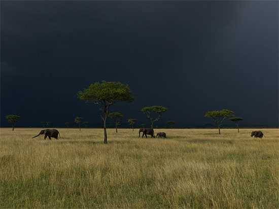 Photograph by Michael Nichols | National Geographic