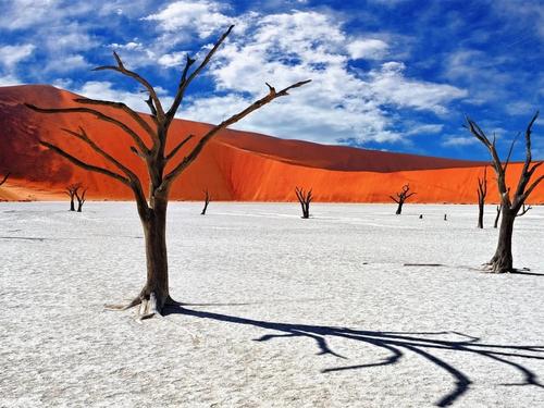 Namibie du désert à l'océan