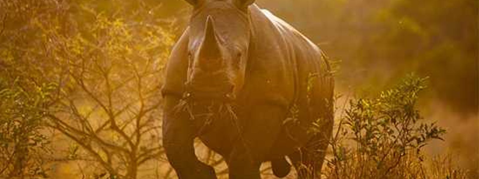 Through the Lens with Etienne Oosthuizen