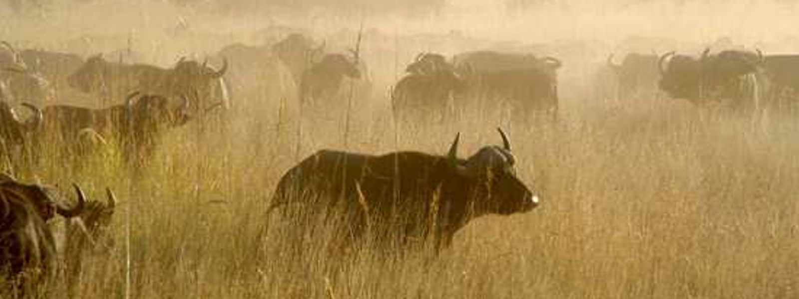 Cathrine's Adventure in Tanzania!!!