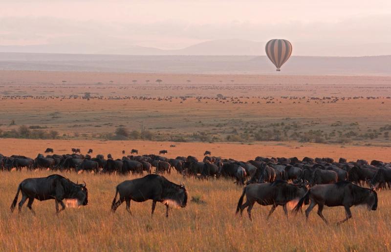 Heißluftballon-Safari bei Sonnenuntergang über einer großen Herde Gnus