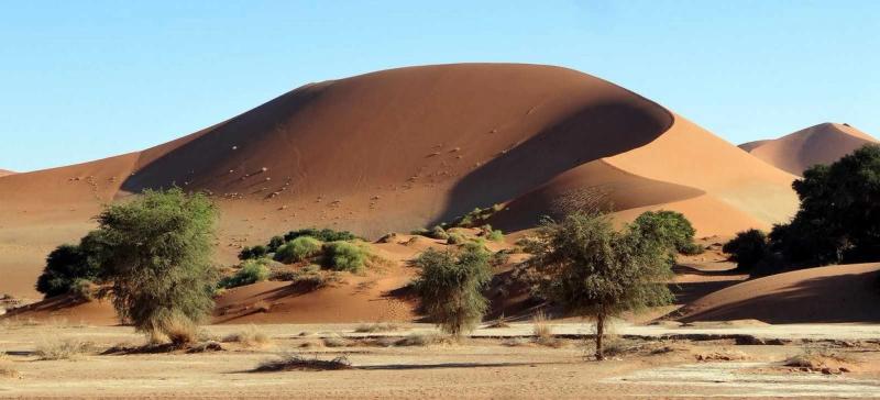 Sossusvlei Dune