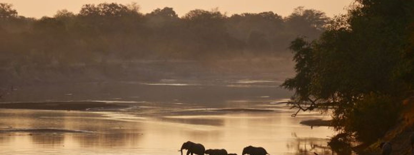Zambia Safari: Where The Wild Feels Closer