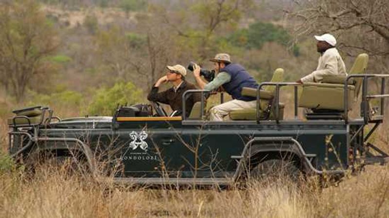 Photographic safari at Londolozi