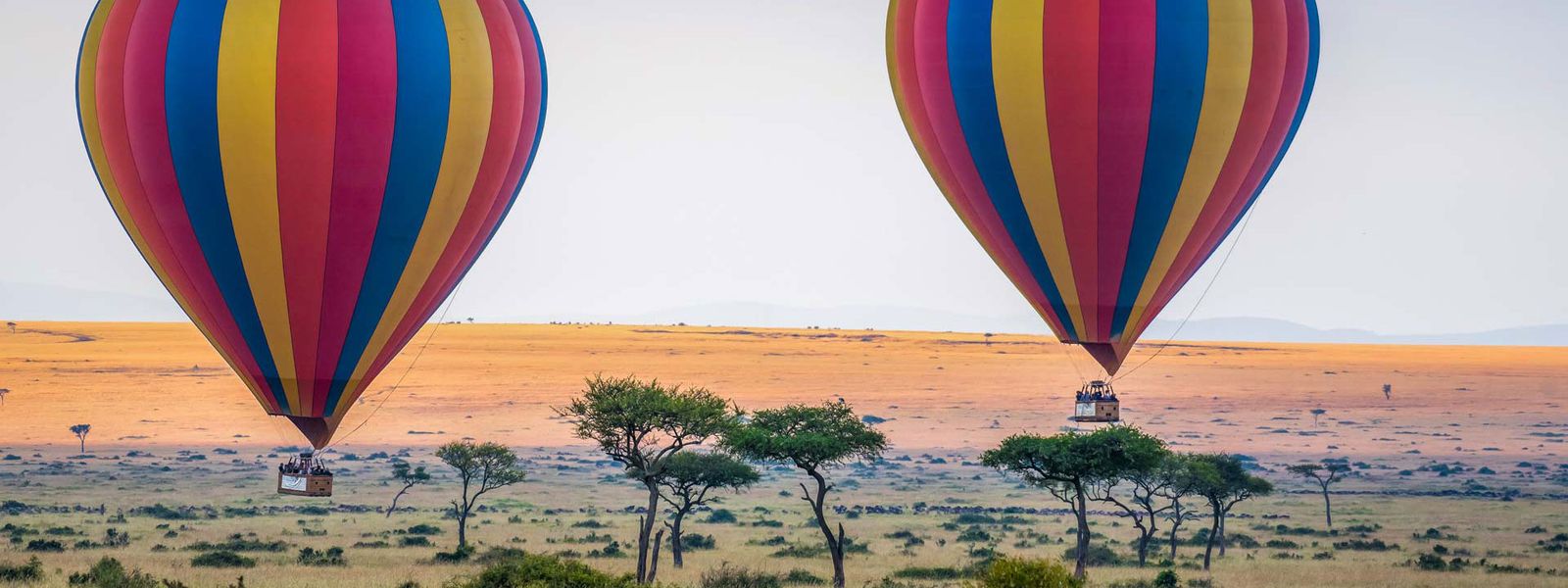 Les expériences incontournables de l’Afrique en 2023