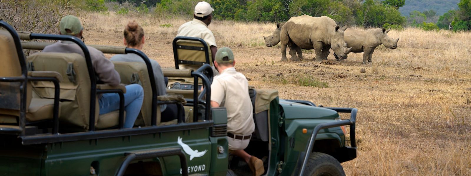 How Tourism and Technology Intersect in Rhino Conservation