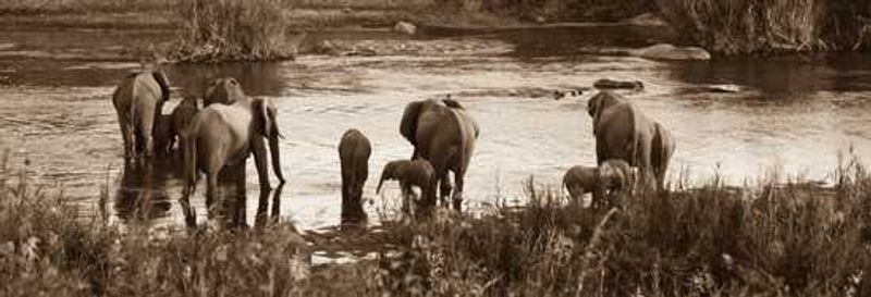 Behind the Lense - Leigh-ann Combrink