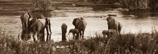 Behind the Lense - Leigh-ann Combrink