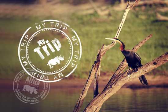 My Trip | "Our 2nd Time in Africa" by The Guits