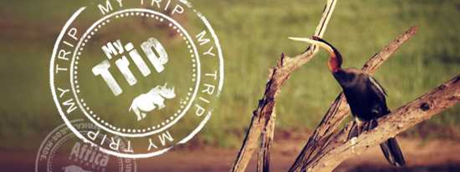 My Trip | "Our 2nd Time in Africa" by The Guits