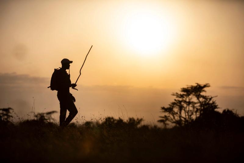 A Kenya guide walks the Maasai Mara at sunset, as seen on a Kenya safari