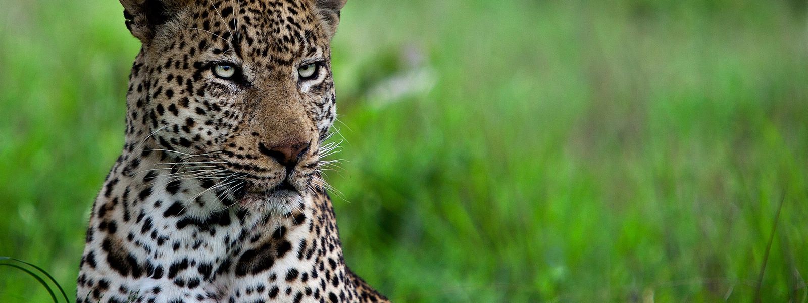 28 raisons de ne jamais voyager en Afrique