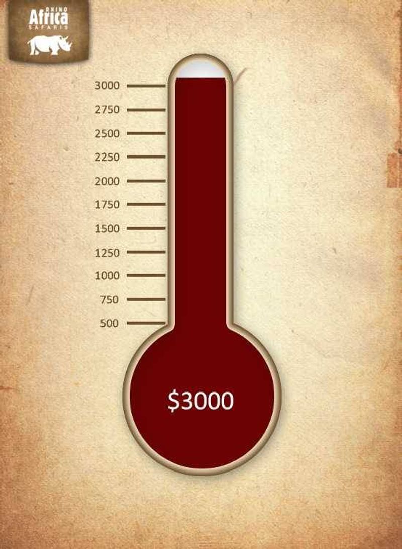 Charity Thermometer