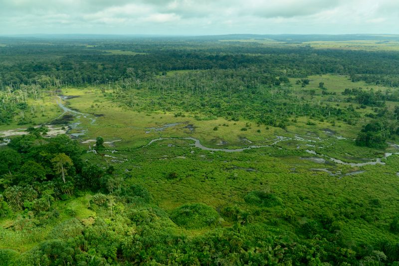 Aerial view of rainforest, wetlands, and winding waterways in Odzala-Kokoua National Park, Republic of the Congo.