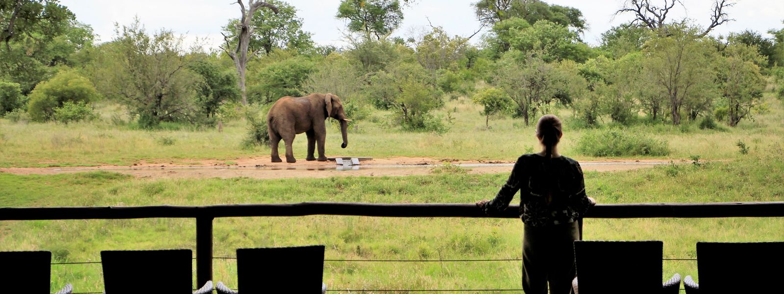 Senalala Safari Lodge: un safari para todos los sentidos