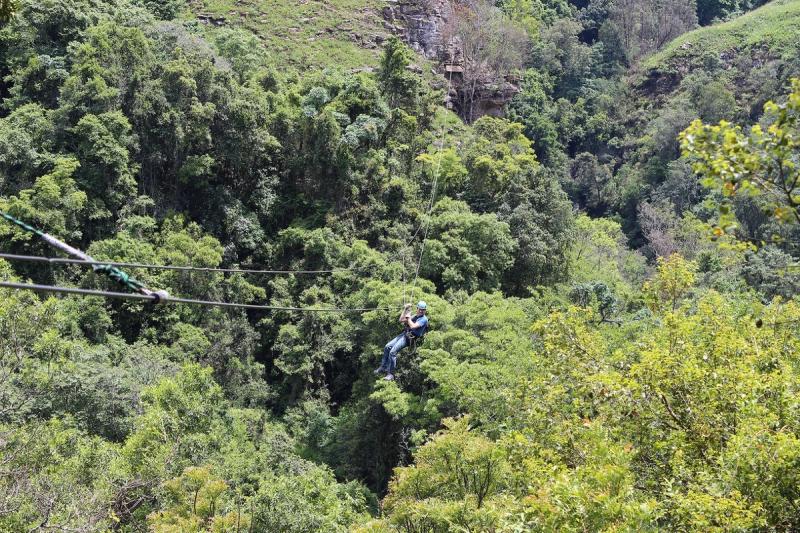 Erleben Sie eine Canopy-Tour in den Drakensbergen