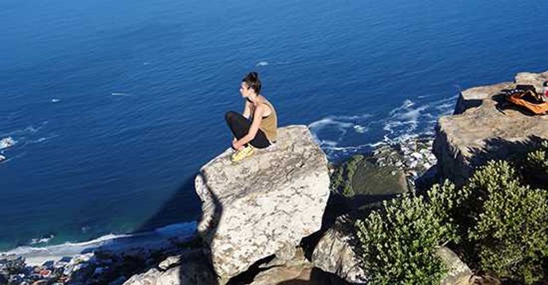 Poodle taking in the view over the Atlantic Ocean