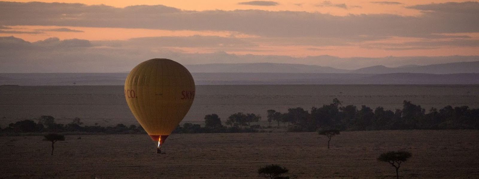 Travelling to Tanzania during Covid? This is what our guests had to say...