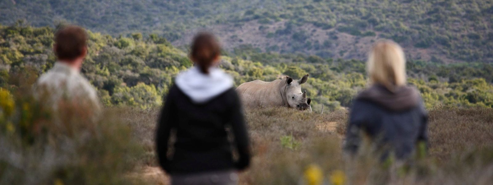 How a Kwandwe Safari Changes Lives