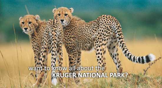 A Video Introduction to the Kruger National Park